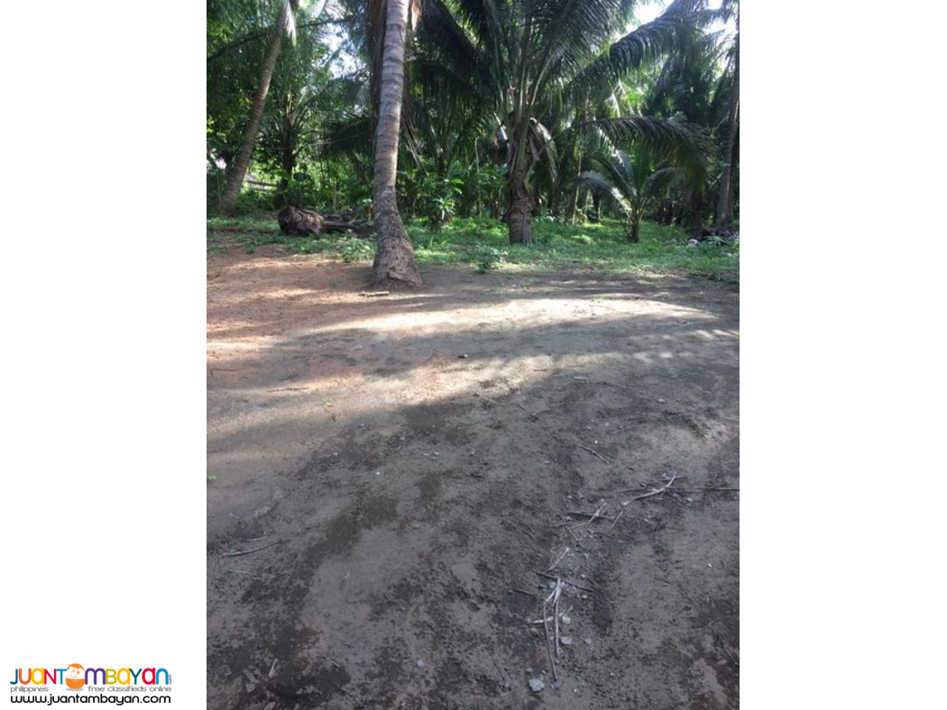 279 Square Meters Lots for Sale in Brgy. Reserva, Baler, Aurora