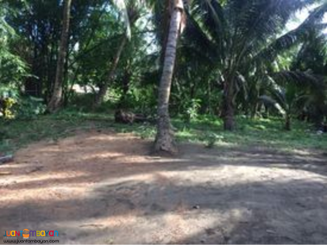 279 Square Meters Lots for Sale in Brgy. Reserva, Baler, Aurora