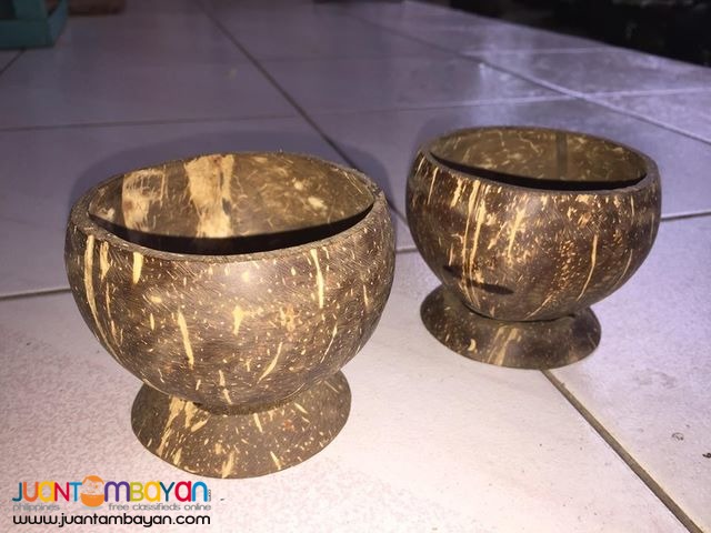 Coconut Shell Bowls