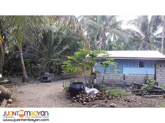 279 Square Meters Lots for Sale in Brgy. Reserva, Baler, Aurora