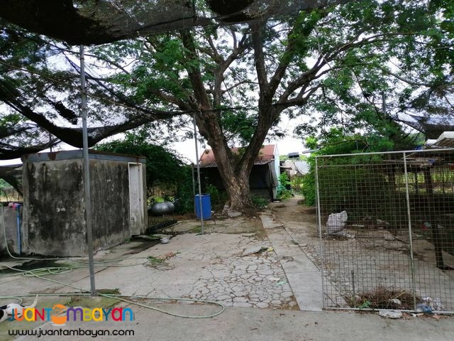 Baliuag Bulacan Lot for sale 2 hectares OK for Terms