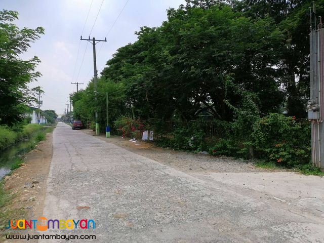 Baliuag Bulacan Lot for sale 2 hectares OK for Terms