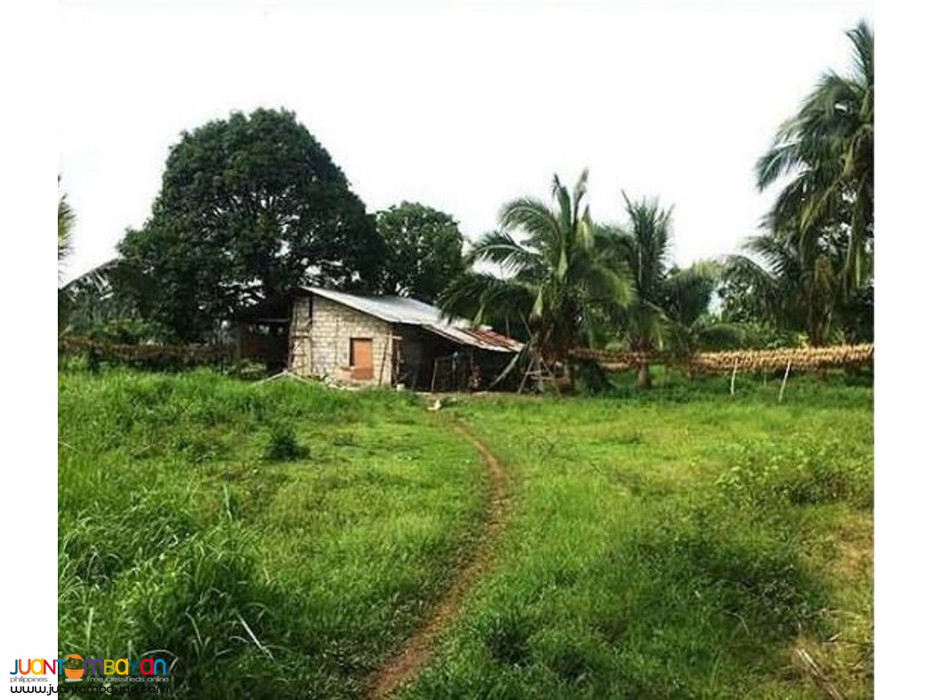 Farm Lot for sale 600 pesos per sqm. Lipa Batangas CASH OR TERM