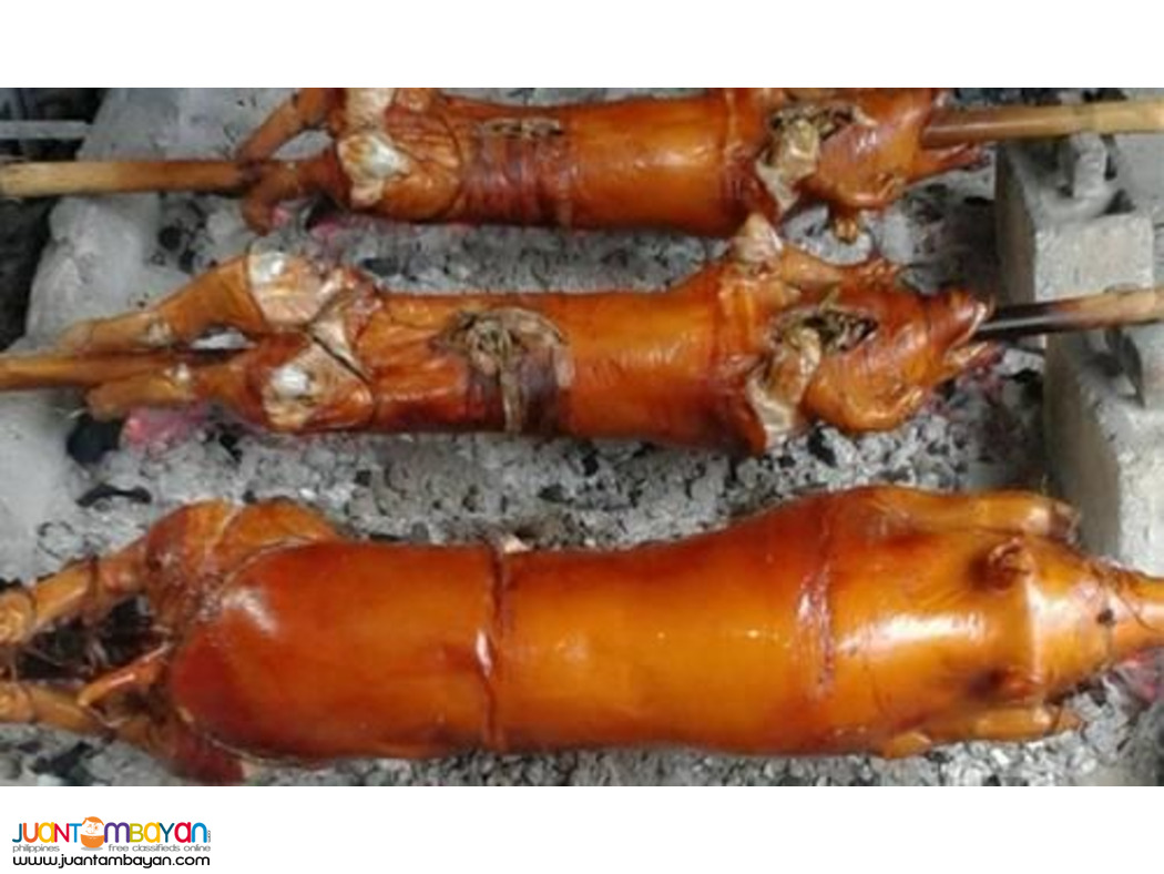 lechon! lechon Baboy !!