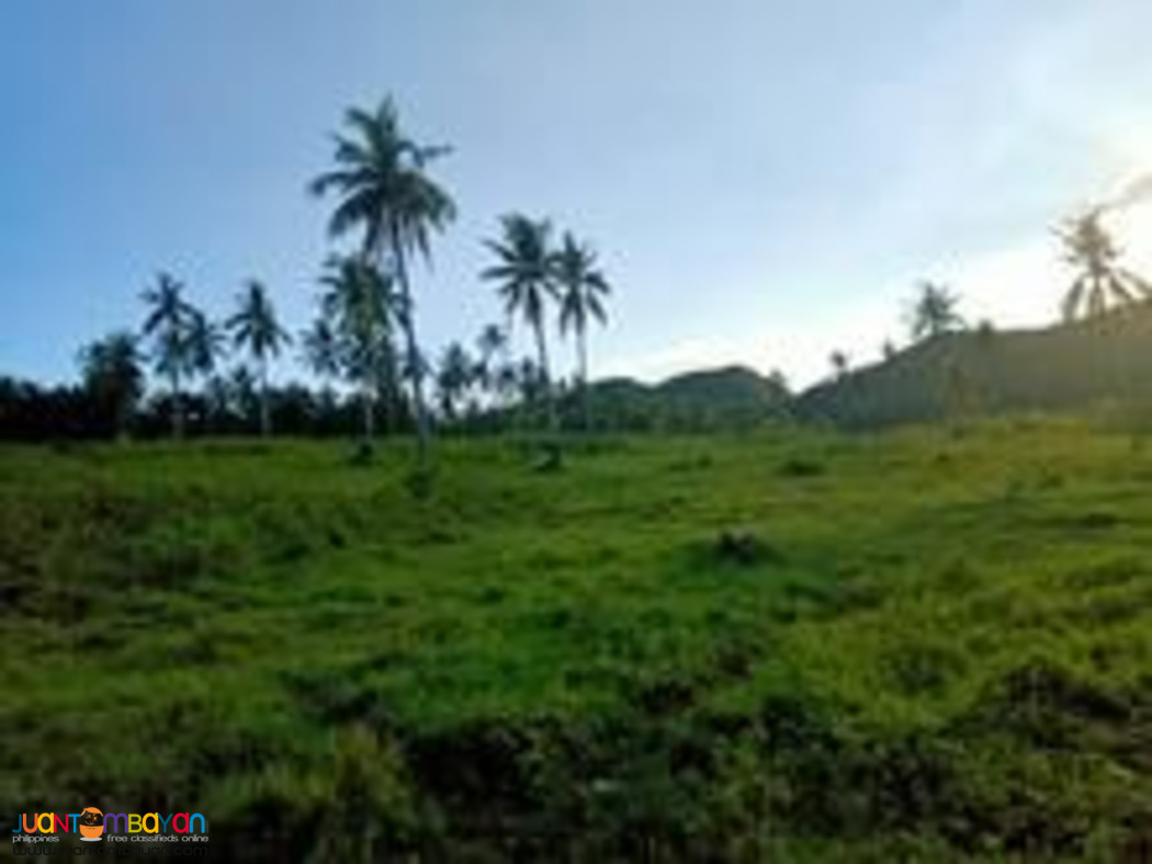 Cebu farm land for sale near highway 2.4 hectares