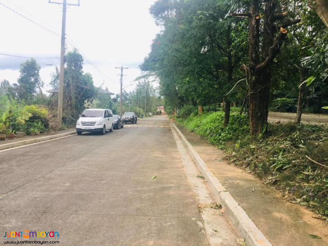 Royale Tagaytay Estates Lot For Sale