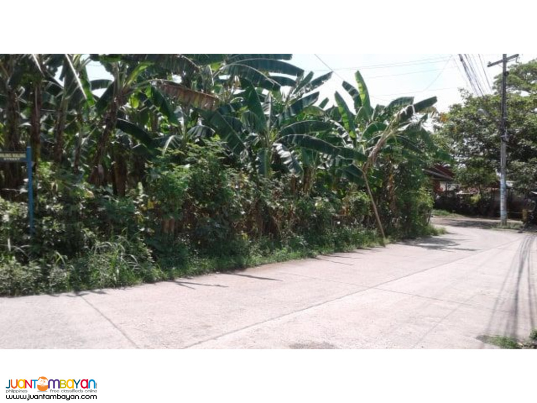 house and lot in green orchard village buhangin davao city 995k