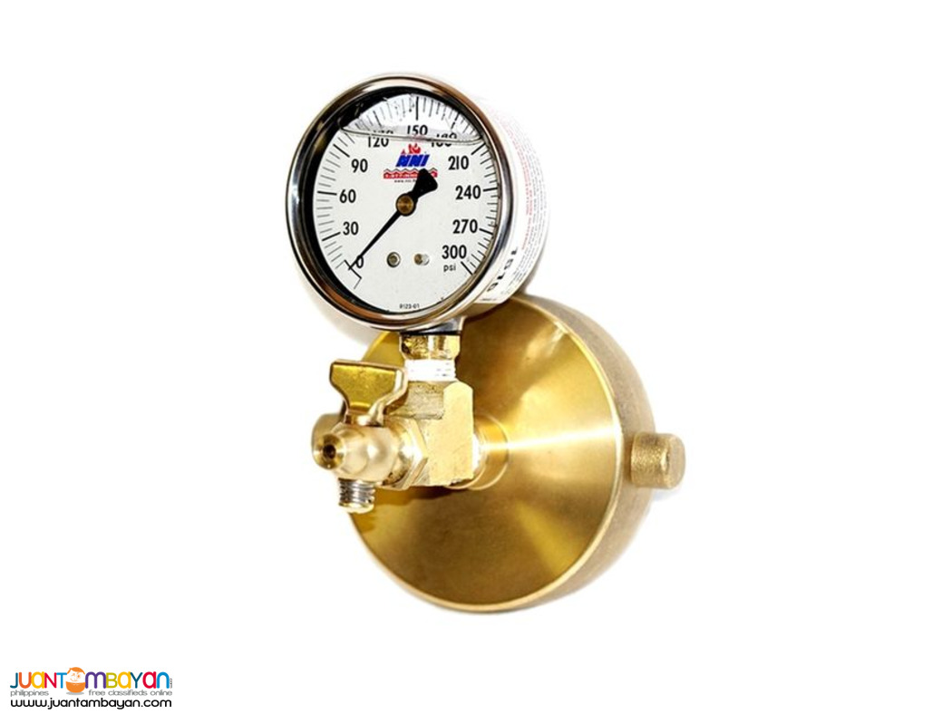 Fire Hydrant Static Pressure Gauge, 2-½