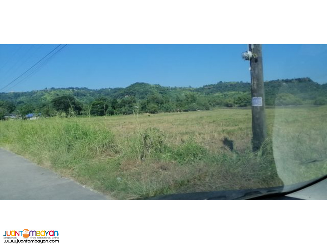 Lot for Sale (Bamban Tarlac)