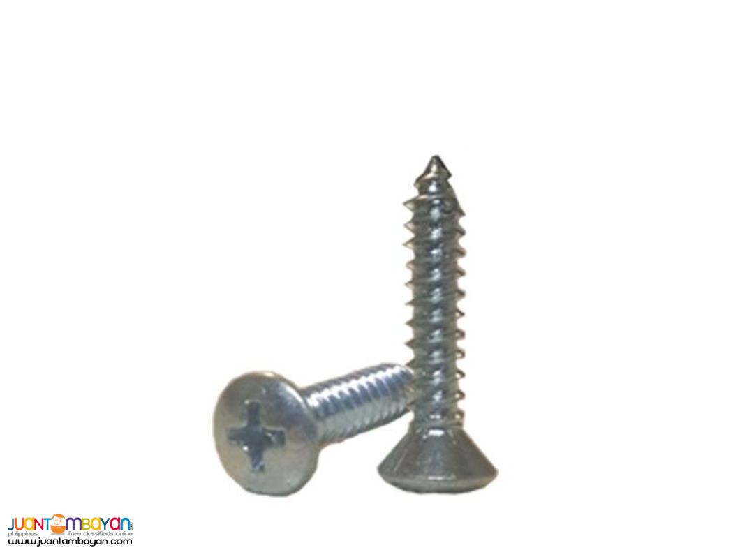 gALVANIZE HARDENED mETAL sCREW