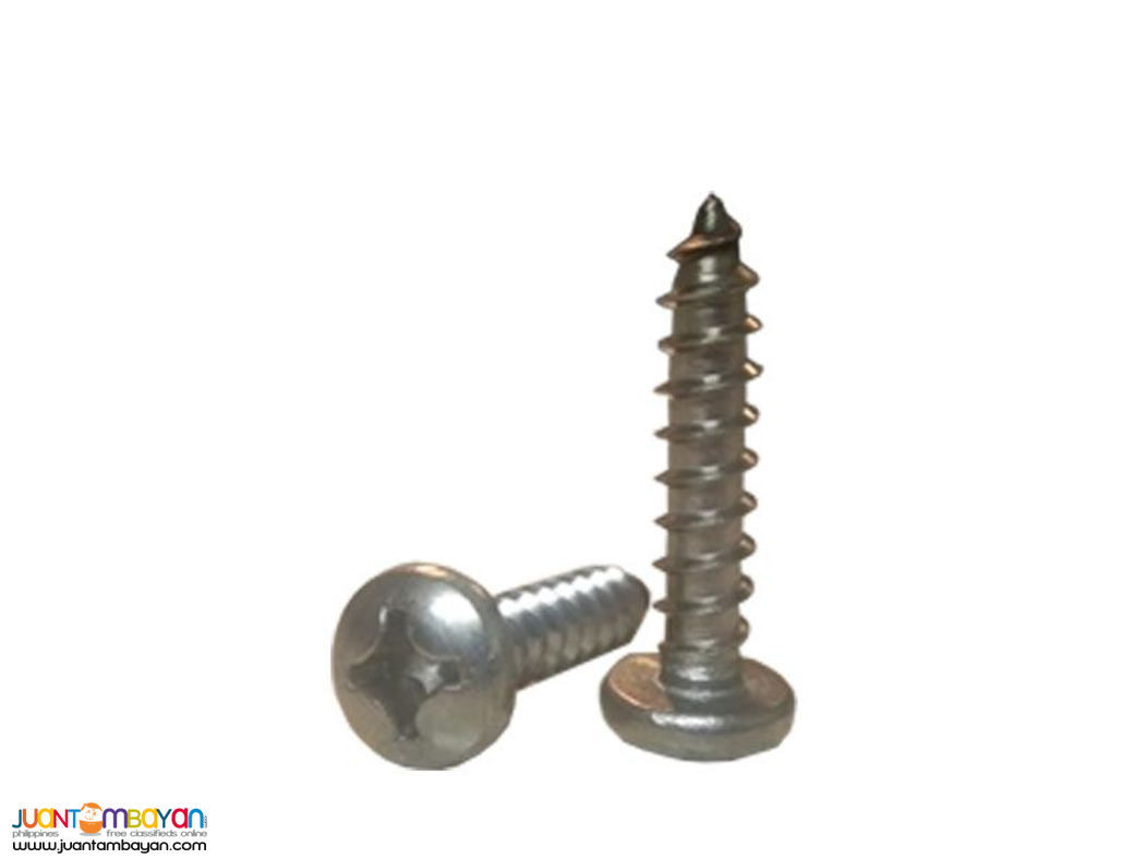 gALVANIZE HARDENED mETAL sCREW