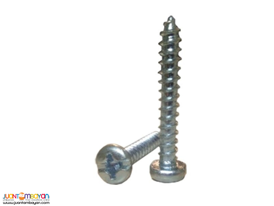 gALVANIZE HARDENED mETAL sCREW