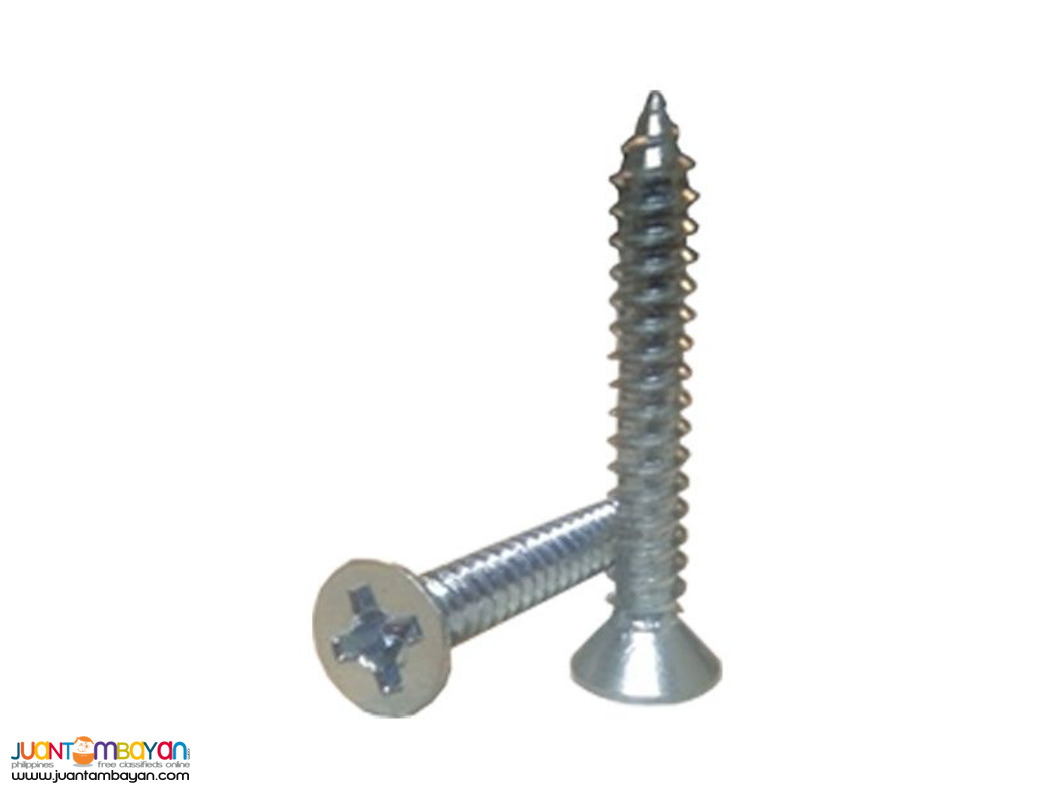 gALVANIZE HARDENED mETAL sCREW