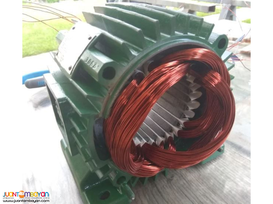 Electric Motor Rewinding