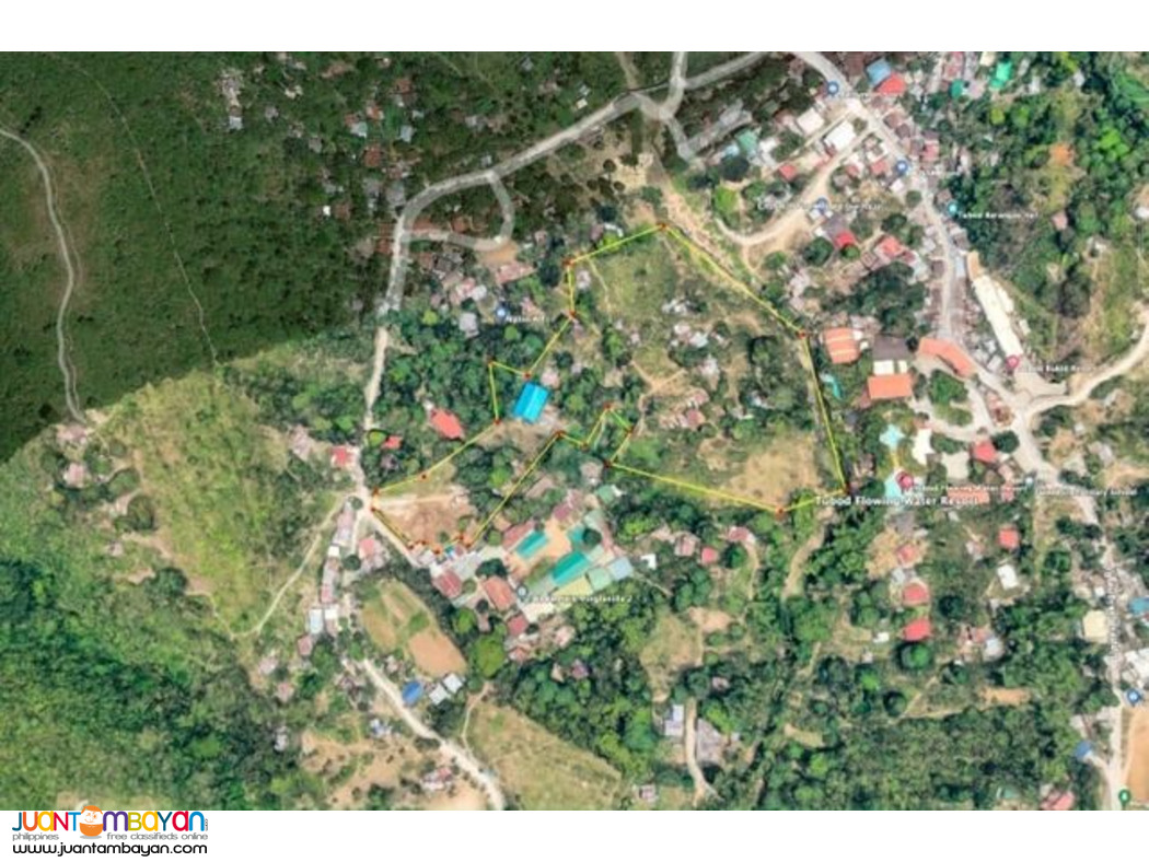 2 Hectares Residential Lot In Diot Tubod Minglanilla Cebu