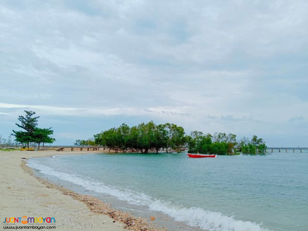 ADUNA DANAO PHASE 2 BEACH HOUSES CEBu