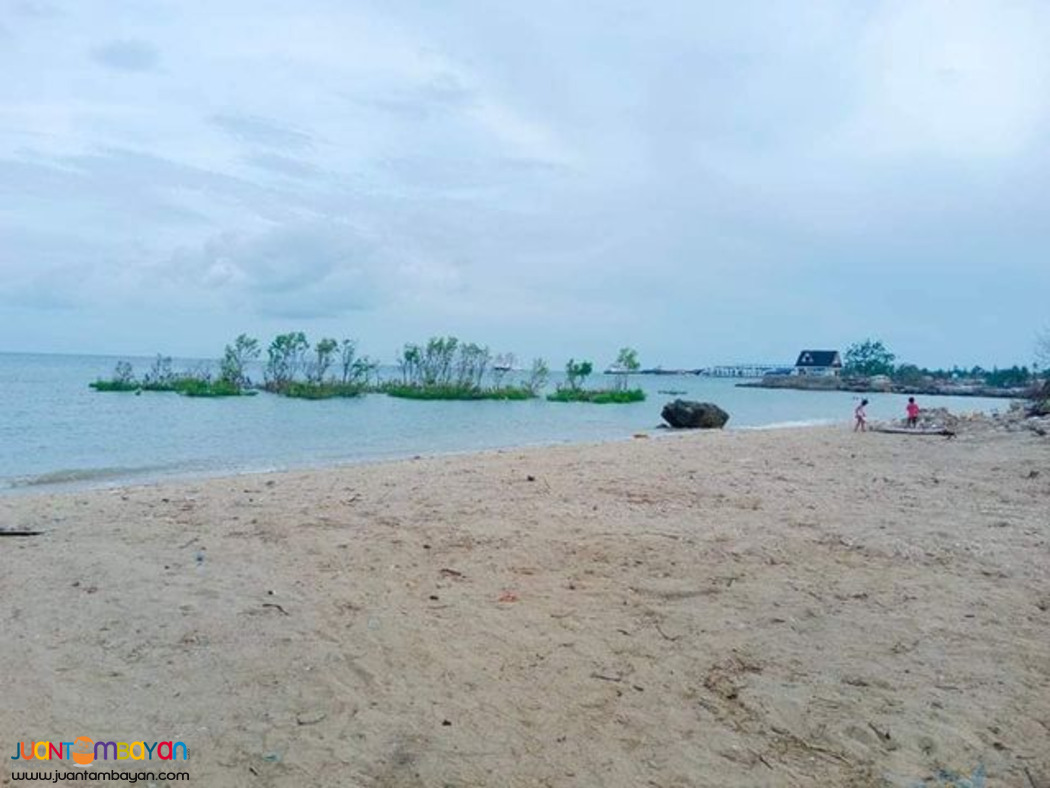 ADUNA DANAO PHASE 2 BEACH HOUSES CEBu