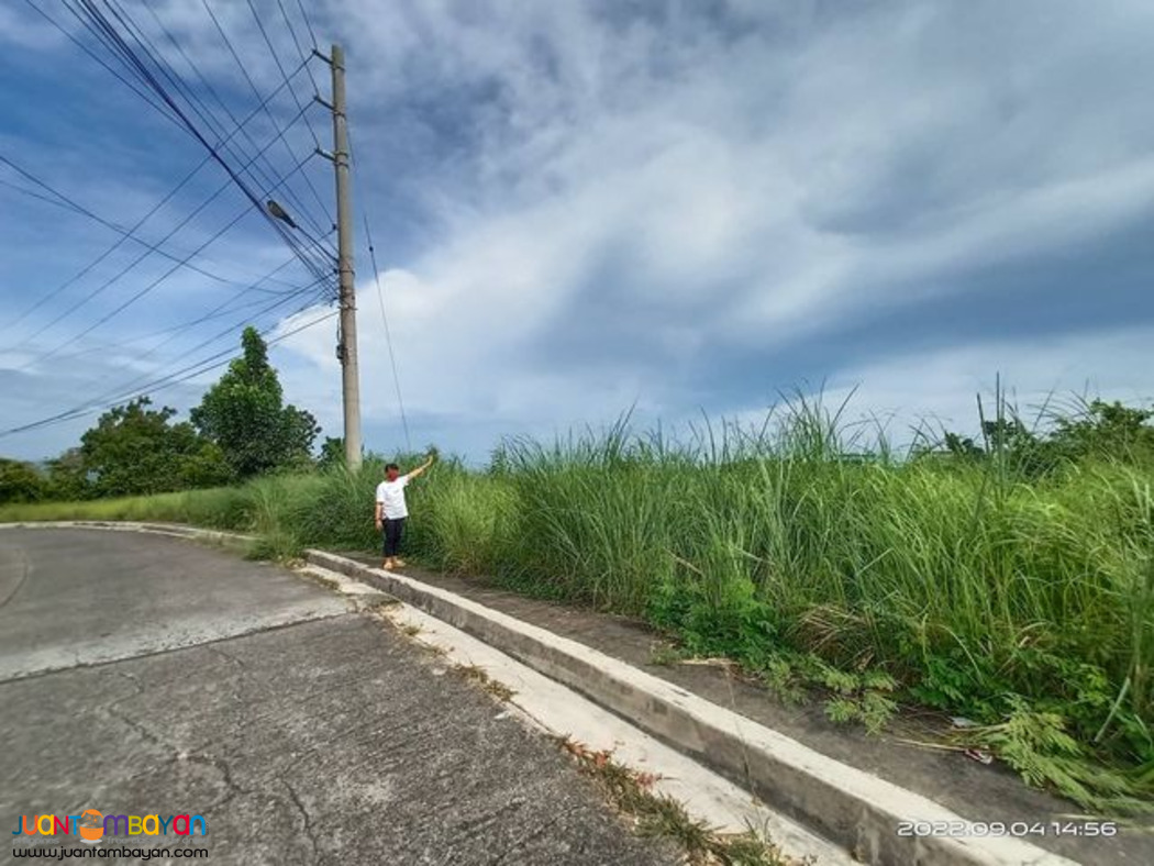 NICE VIEW  LOT FOR SALE PACIFIC HEIGHTS SUBD CANDULAWAN TALISAY CITY 