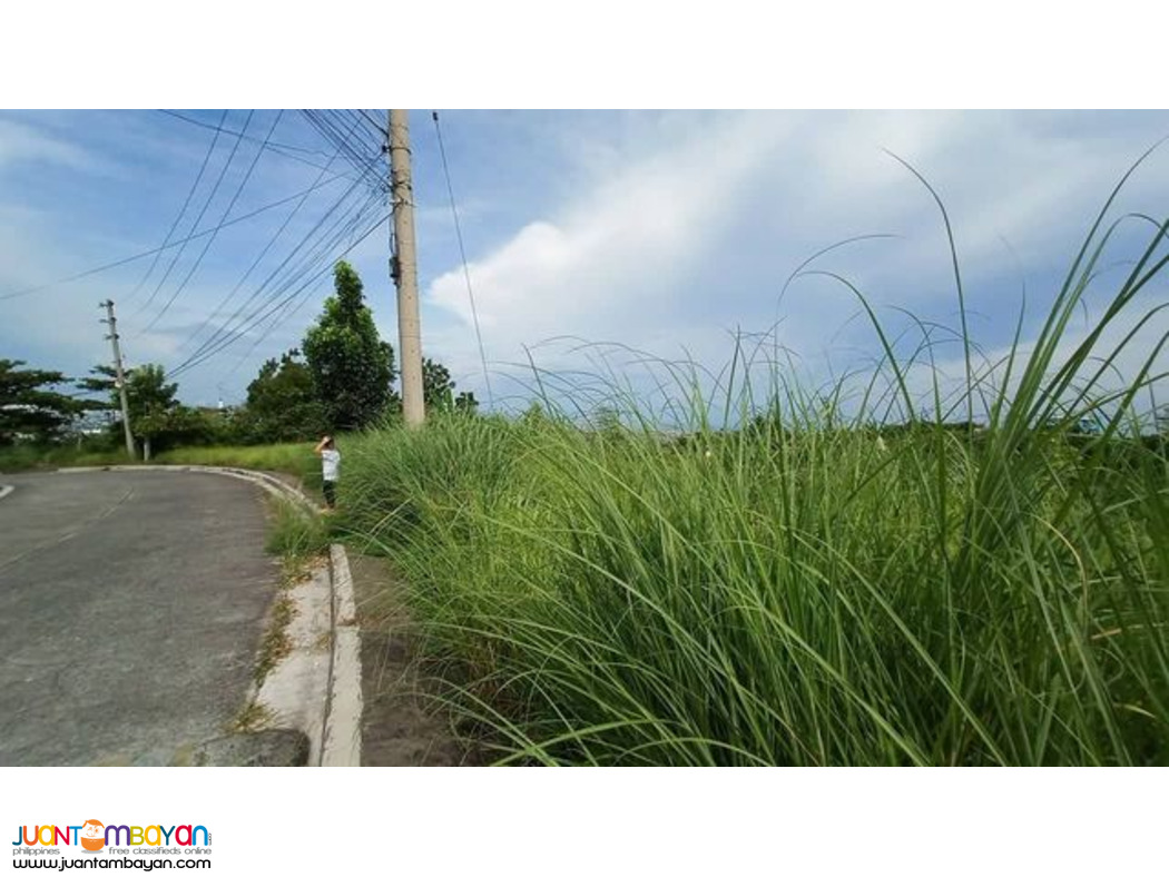 NICE VIEW  LOT FOR SALE PACIFIC HEIGHTS SUBD CANDULAWAN TALISAY CITY 