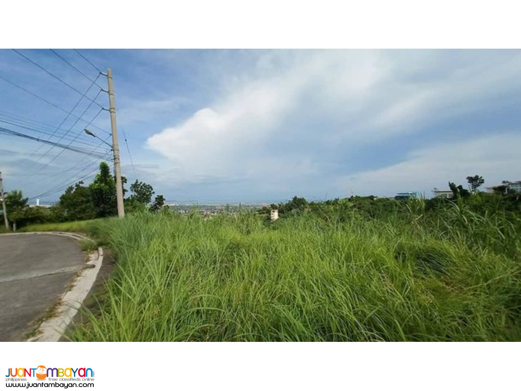 NICE VIEW  LOT FOR SALE PACIFIC HEIGHTS SUBD CANDULAWAN TALISAY CITY 