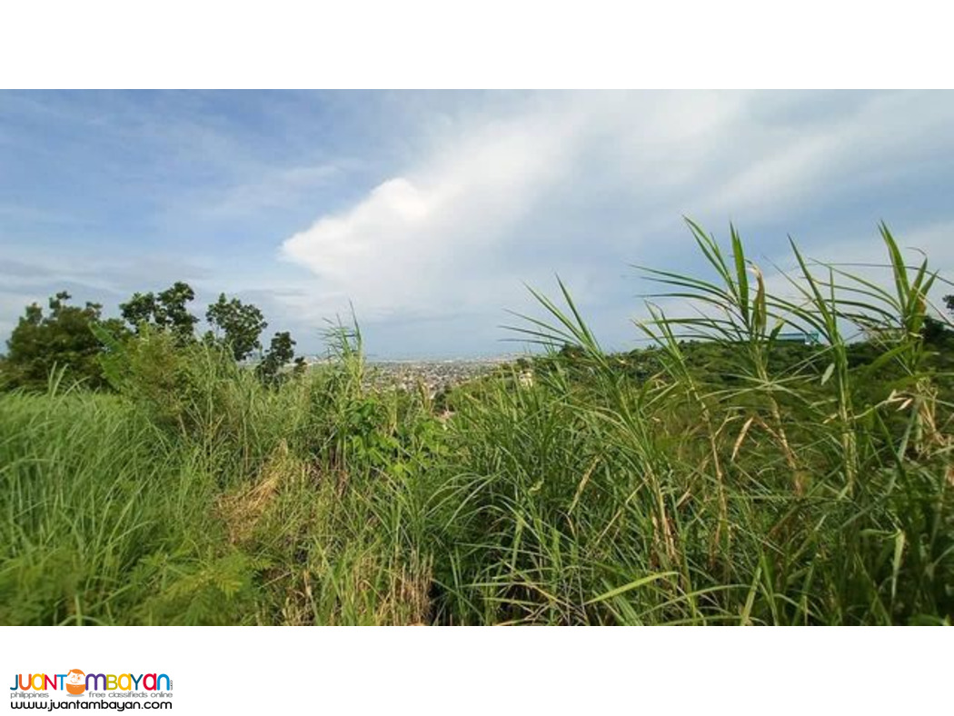 NICE VIEW  LOT FOR SALE PACIFIC HEIGHTS SUBD CANDULAWAN TALISAY CITY 