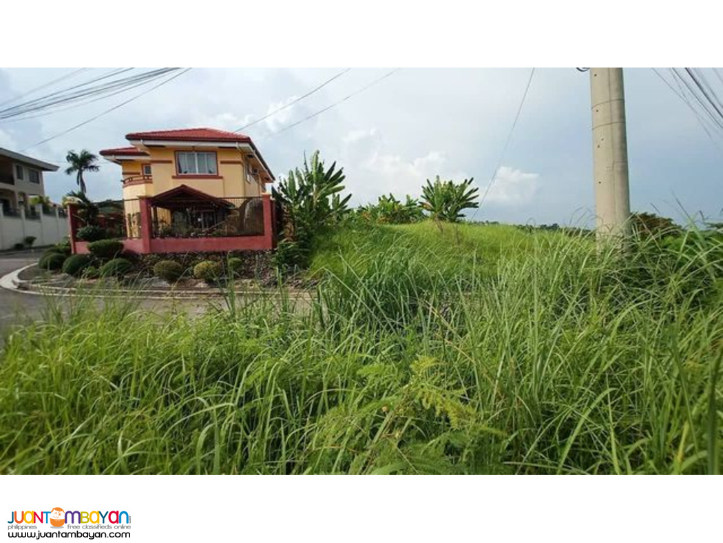 NICE VIEW  LOT FOR SALE PACIFIC HEIGHTS SUBD CANDULAWAN TALISAY CITY 