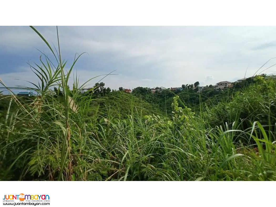 NICE VIEW  LOT FOR SALE PACIFIC HEIGHTS SUBD CANDULAWAN TALISAY CITY 