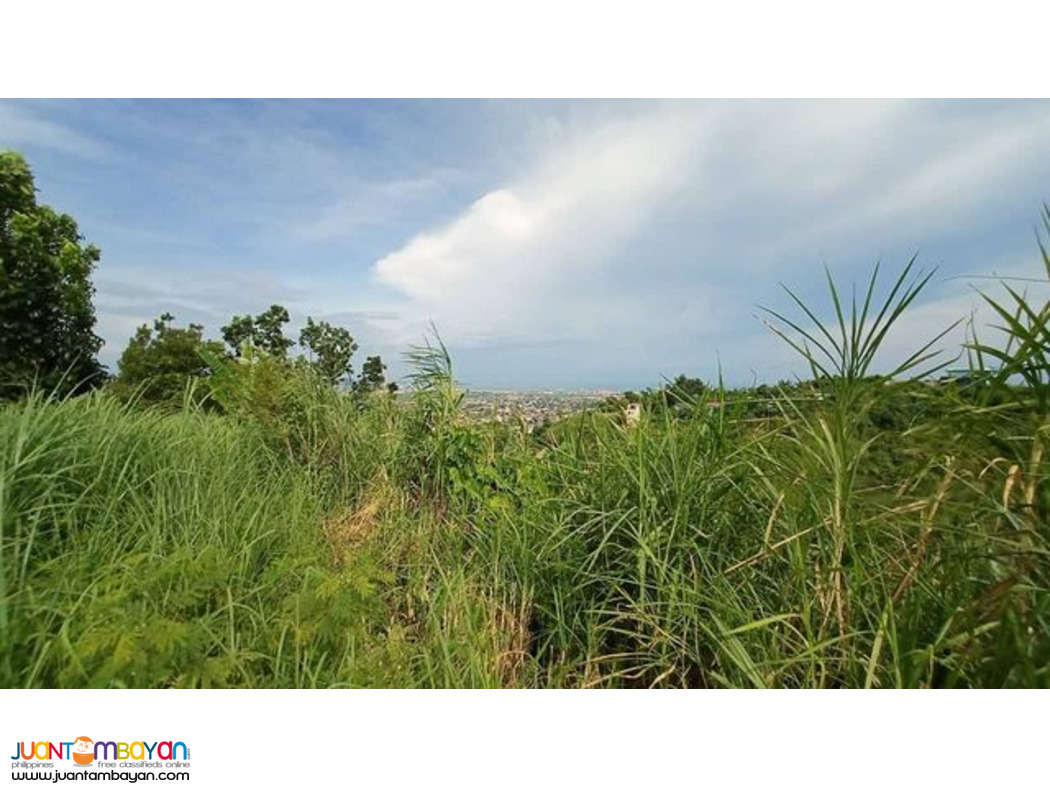 NICE VIEW  LOT FOR SALE PACIFIC HEIGHTS SUBD CANDULAWAN TALISAY CITY 