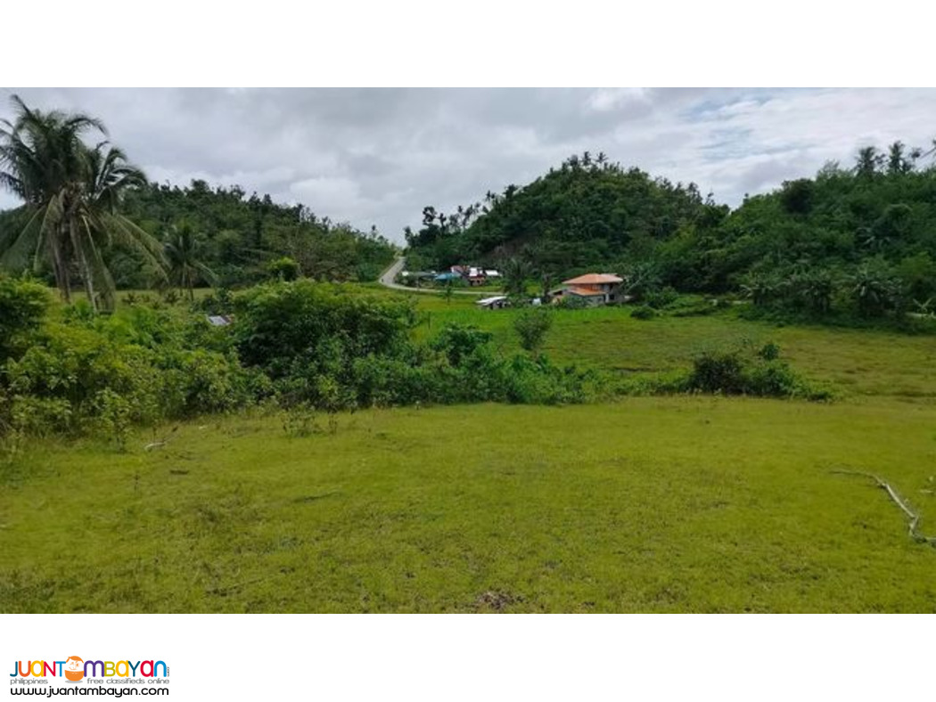 Lot for sale inabanga Bohol Philippines 150/sqm