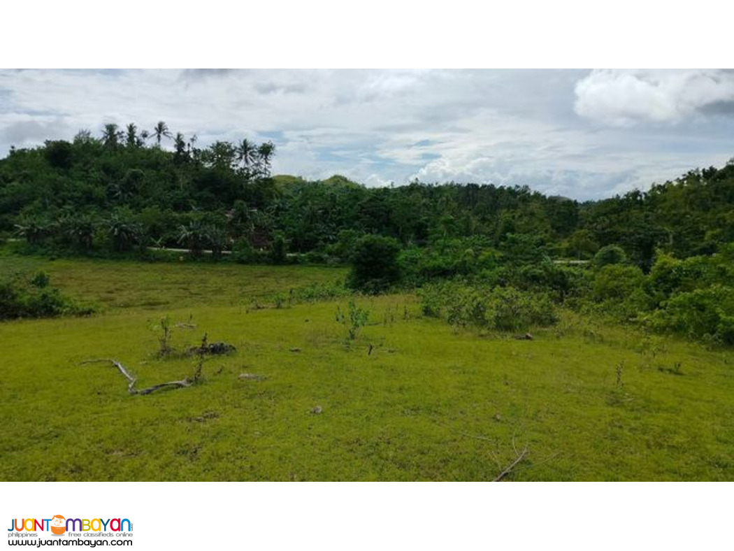 Lot for sale inabanga Bohol Philippines 150/sqm