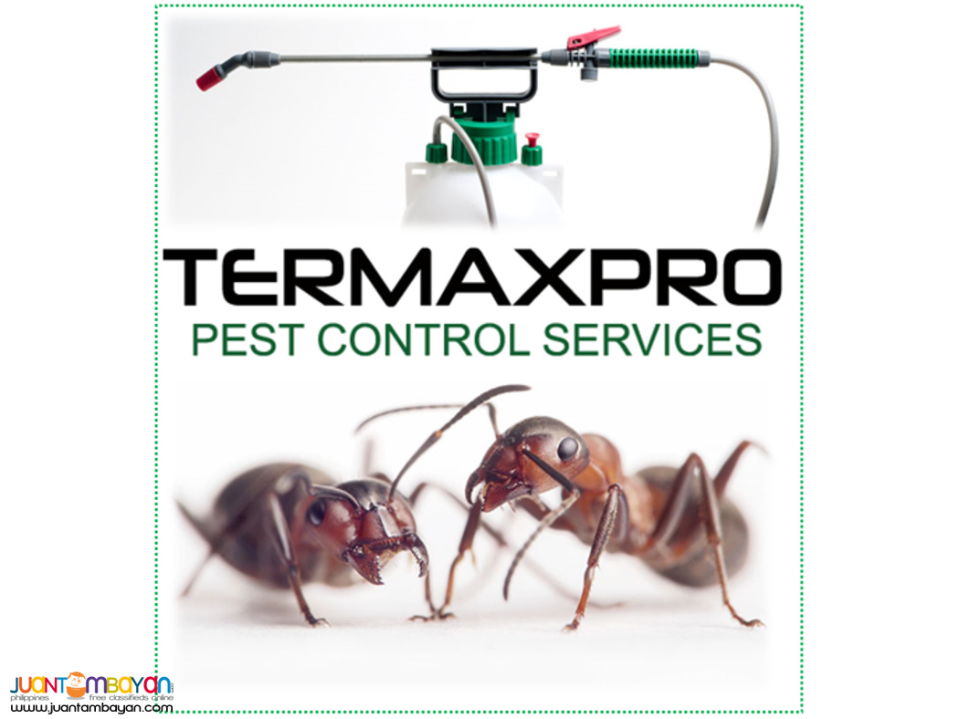 Termaxpro Pest Control Services- BICOL