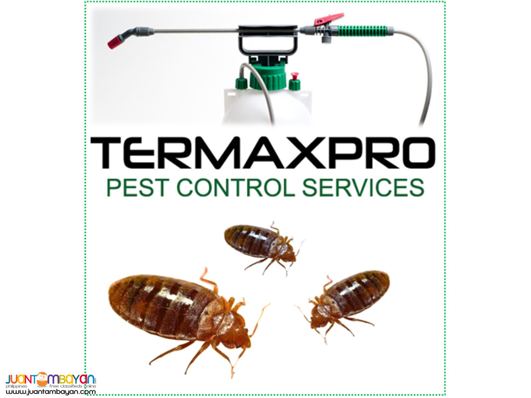 Termaxpro Pest Control Services- BICOL