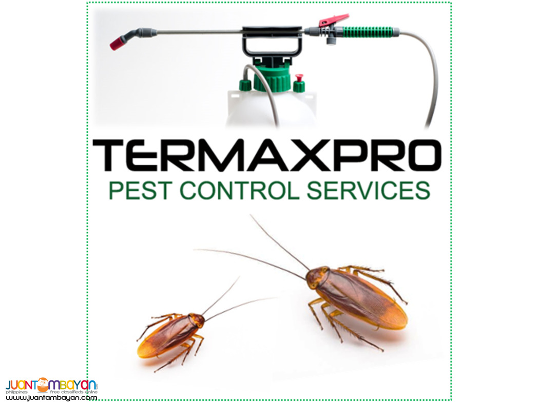 Termaxpro Pest Control Services- BICOL