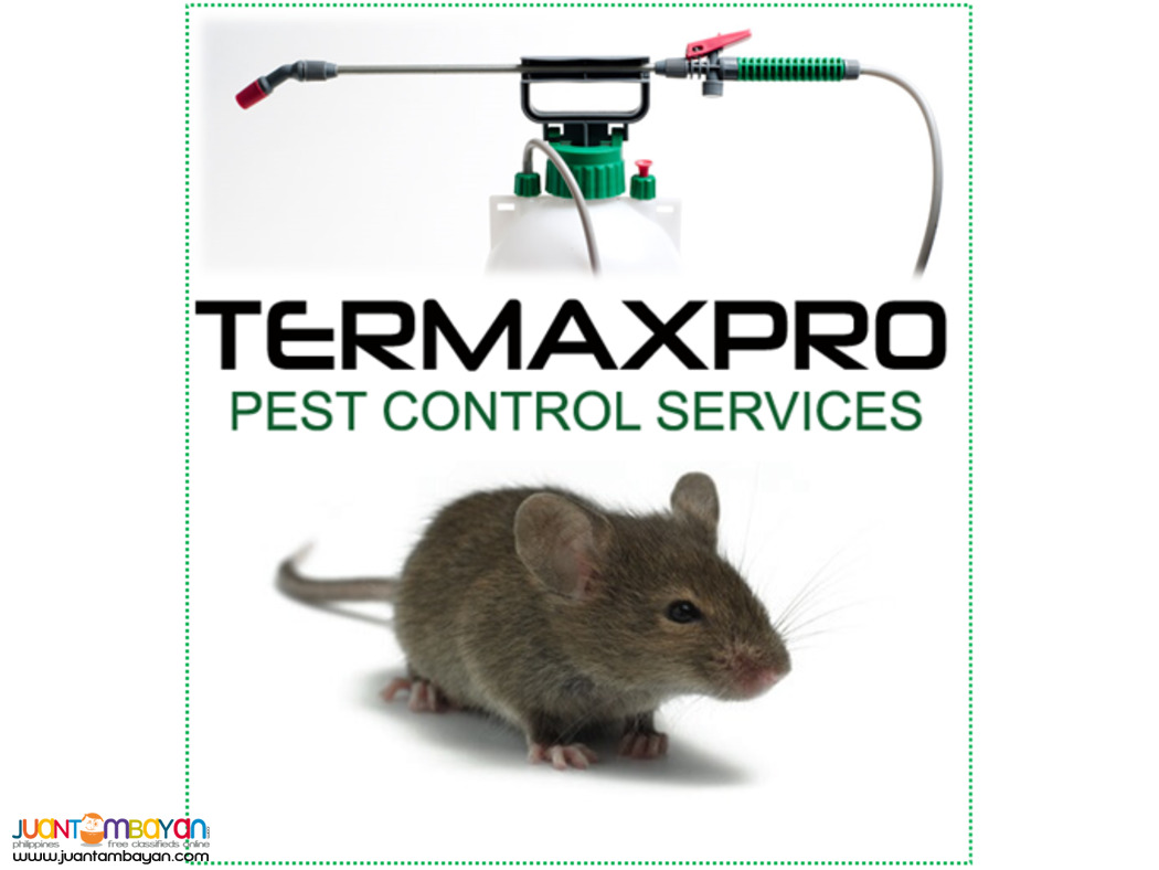 Termaxpro Pest Control Services- BICOL