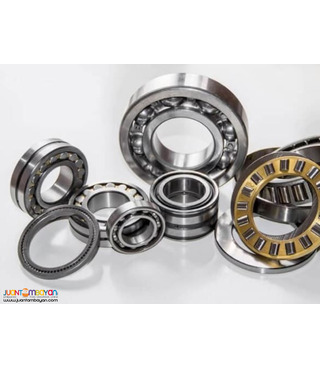 Ball Bearings, Roller Bearings, Bushing Bearings 