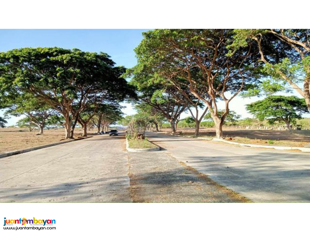 COMMERCIAL AND RESIDENTIAL LOT FOR SALE IN NAIC CAVITE